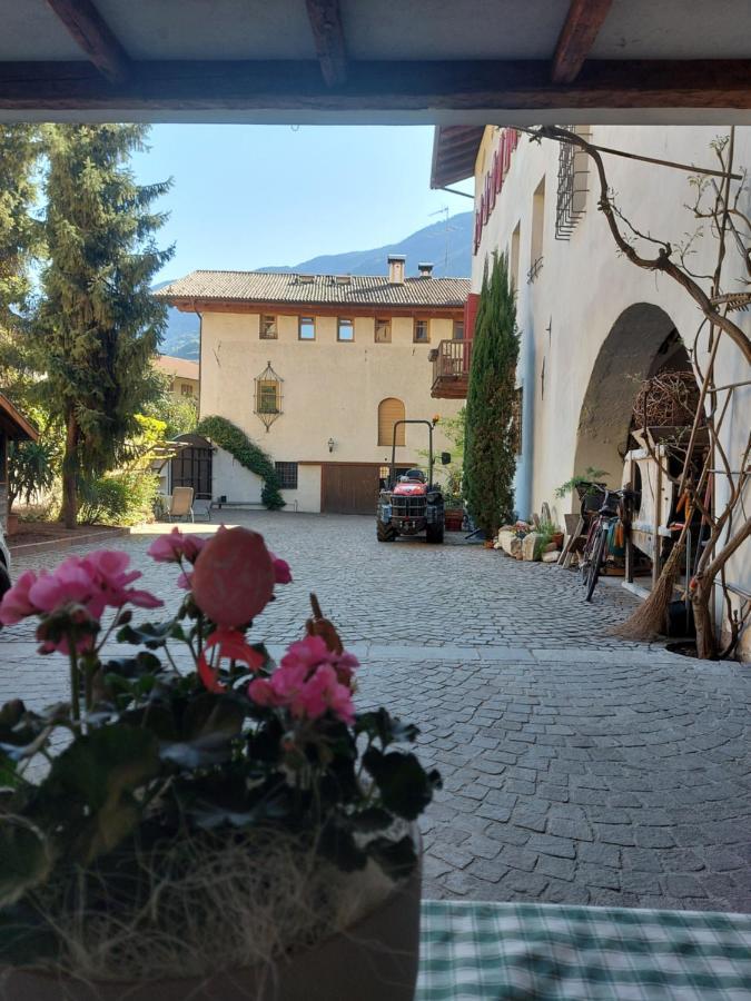 Ansitz Von Wohlgemuth Leilighet Salorno Eksteriør bilde